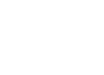 Wondersys Logo